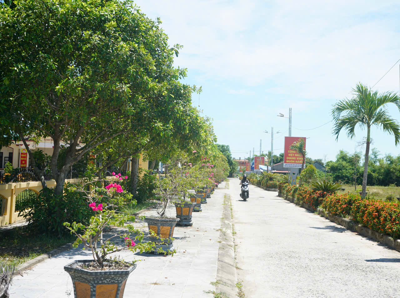 Con đường hoa tại trung t&acirc;m h&agrave;nh ch&iacute;nh x&atilde; Triệu Đại - Ảnh: L.H
